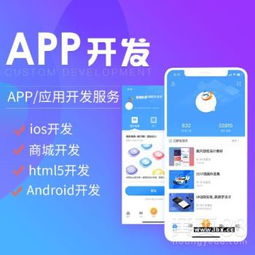 軟件開發(fā)與APP定制系統(tǒng) 技術驅(qū)動下的創(chuàng)新解決方案
